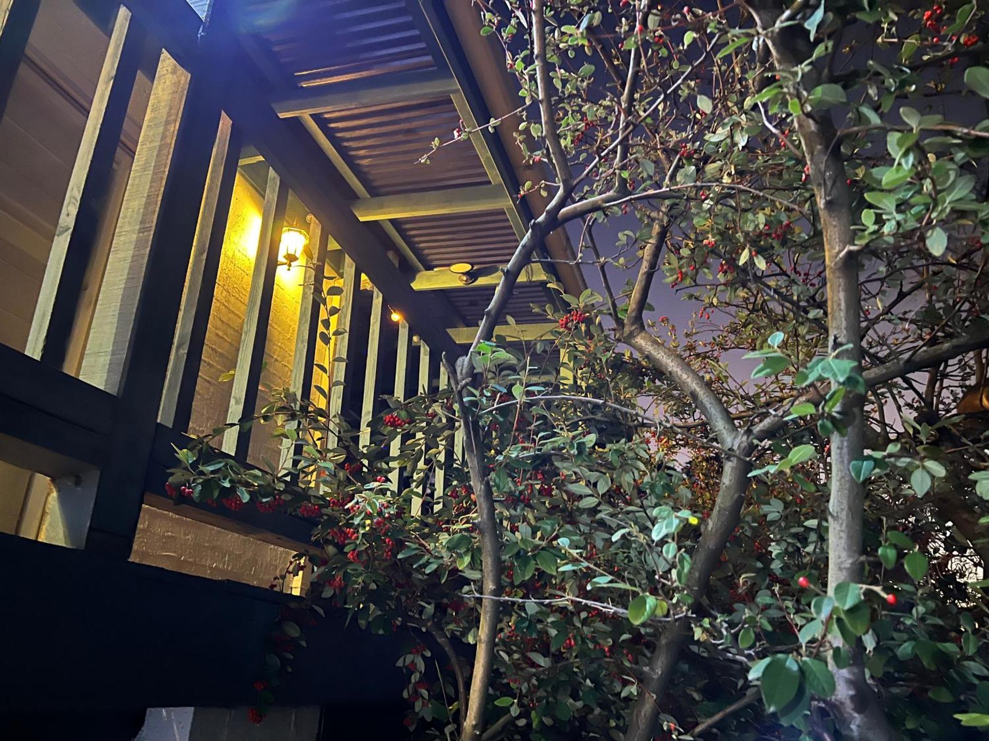 Villa Nest On A Crest Rye Exterior foto